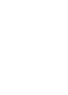 audit-icon