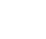 mind-icon